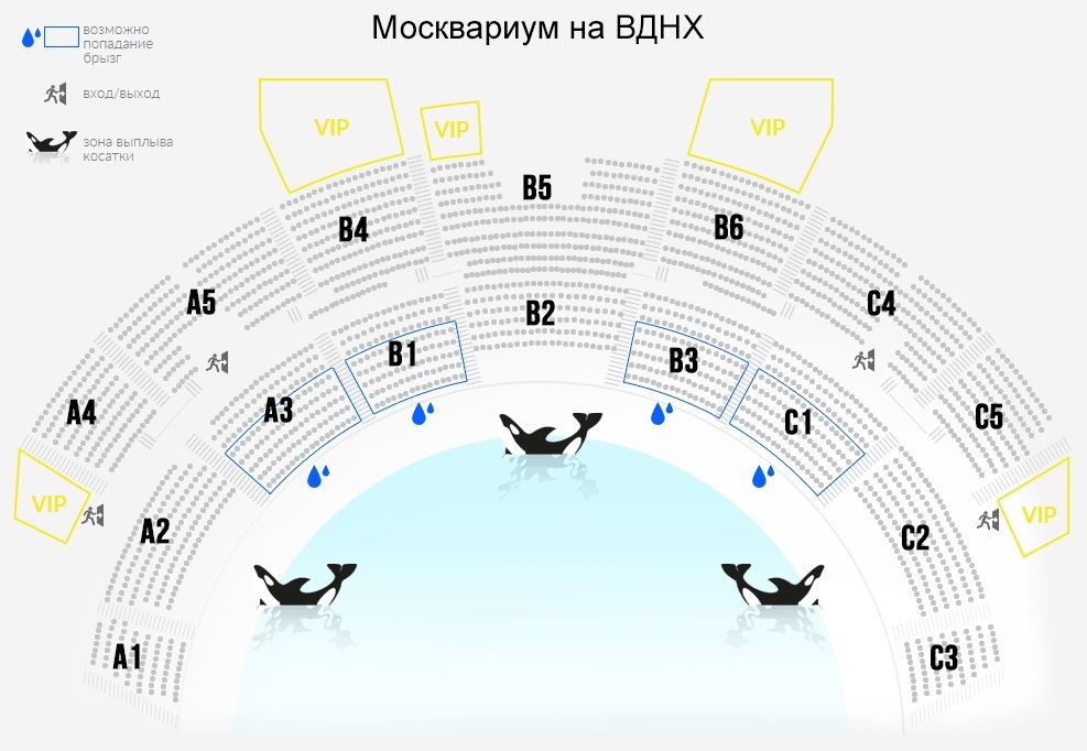 Москвариум Цена Билета 2025 Расписание