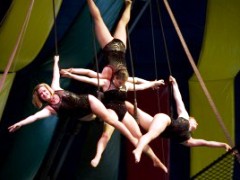 Цирк Flying High, Университет Флориды, США