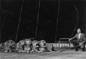 Цирк Жана Ришарa. Франция