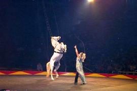  Семейный цирк Тарзана Зербини, США 