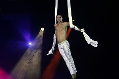Цирк Бето Карреро, Бразилия