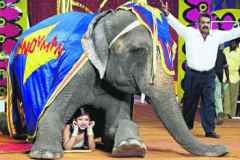 Jumbo Circus, 