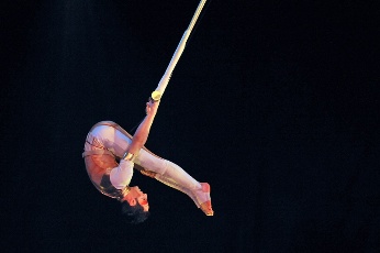 Акробат, упавший из-под купола Московского цирка, идет на поправку