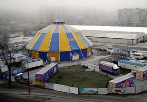 Калининградцам пообещали цирк к 2014 году