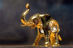 «Золотых слонов» получили артисты из России и Китая