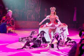 «Королевский цирк» приедет в Нижний Новгород