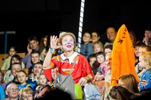 Краснодарский цирк сможет давать более 200 шоу в год