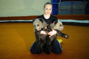 В цирке Екатеринбурга живут осиротевшие медвежата