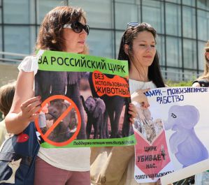 В Екатеринбурге пройдет митинг против цирка с животными