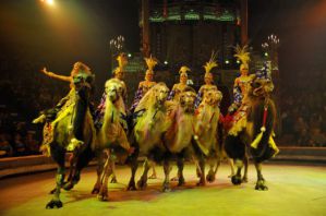 Цирк Гии Эрадзе гастролирует по стране