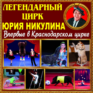 Знаменитый Цирк Никулина впервые в Краснодаре!