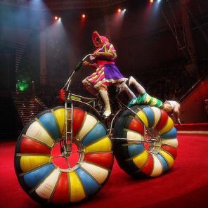 В Московской области появится филиал цирка Никулина
