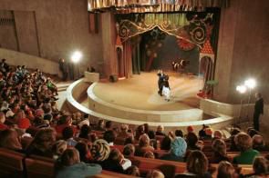 Театр Дурова откроет новую сцену